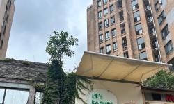 Featured image of post 生活