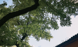 Featured image of post 北京游记