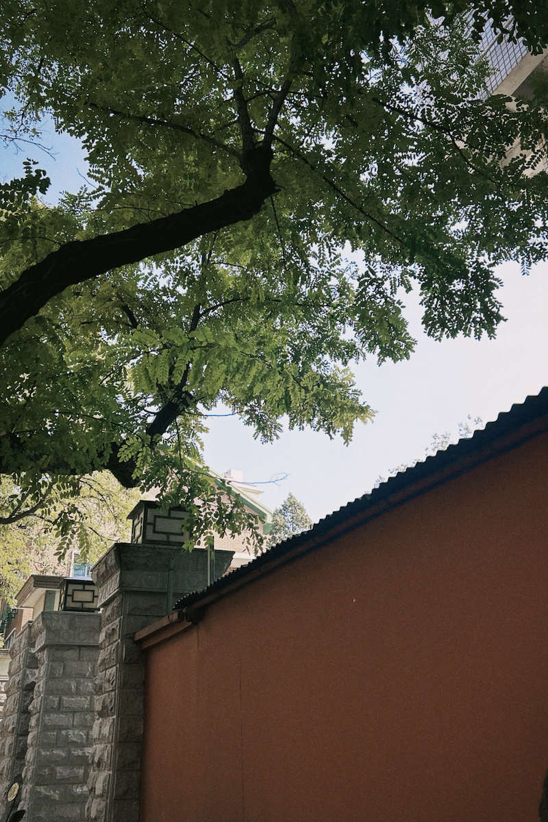 Featured image of post 北京游记