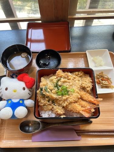 我的新宝宝和我的天妇罗